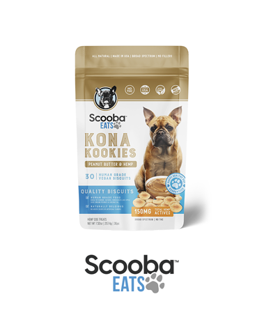Scooba Products