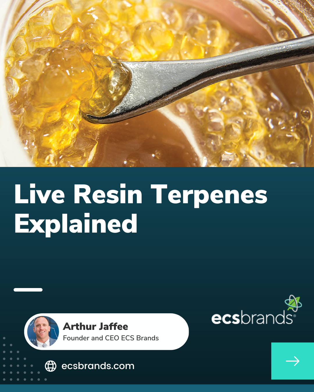 Live Resin Terpenes Explained